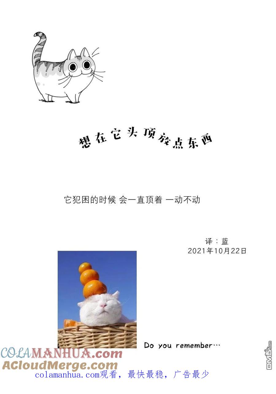 第87话-关于养猫我一直是新手-キュルZ（第2张）