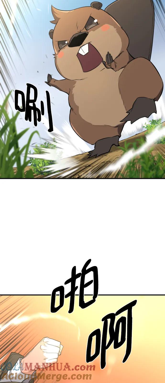 16.jpg