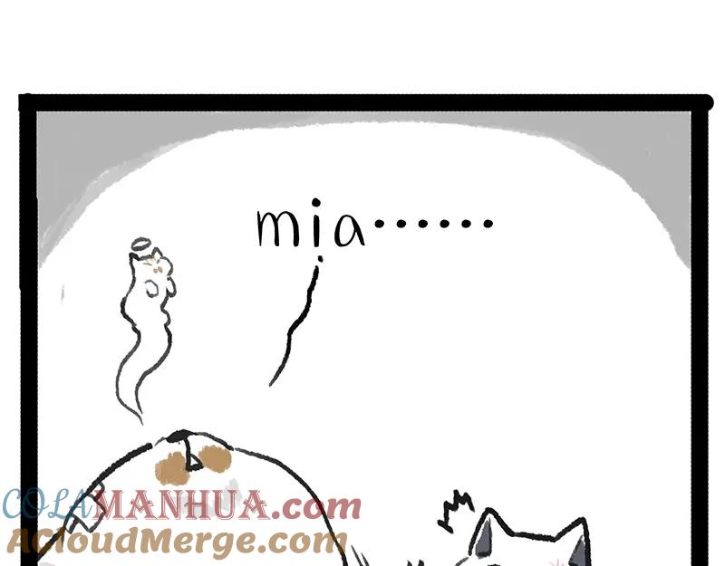 52.jpg