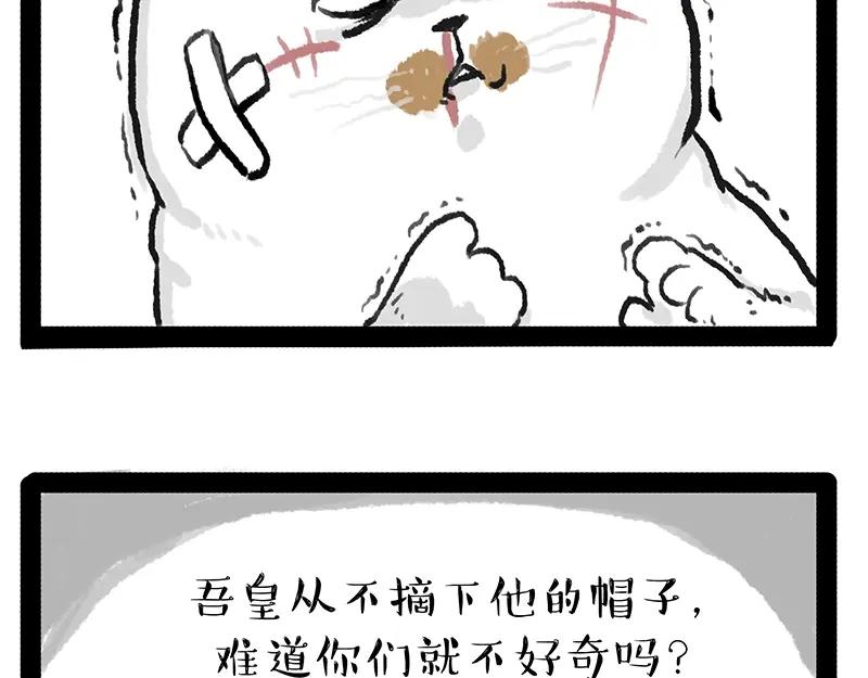 47.jpg