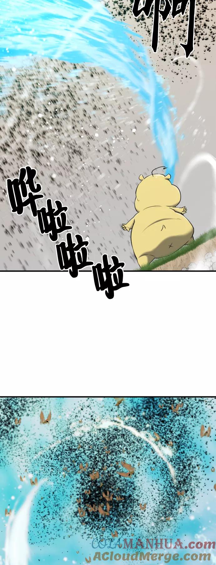 55.jpg