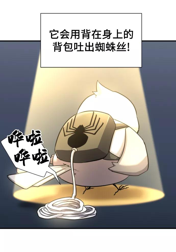 78.jpg