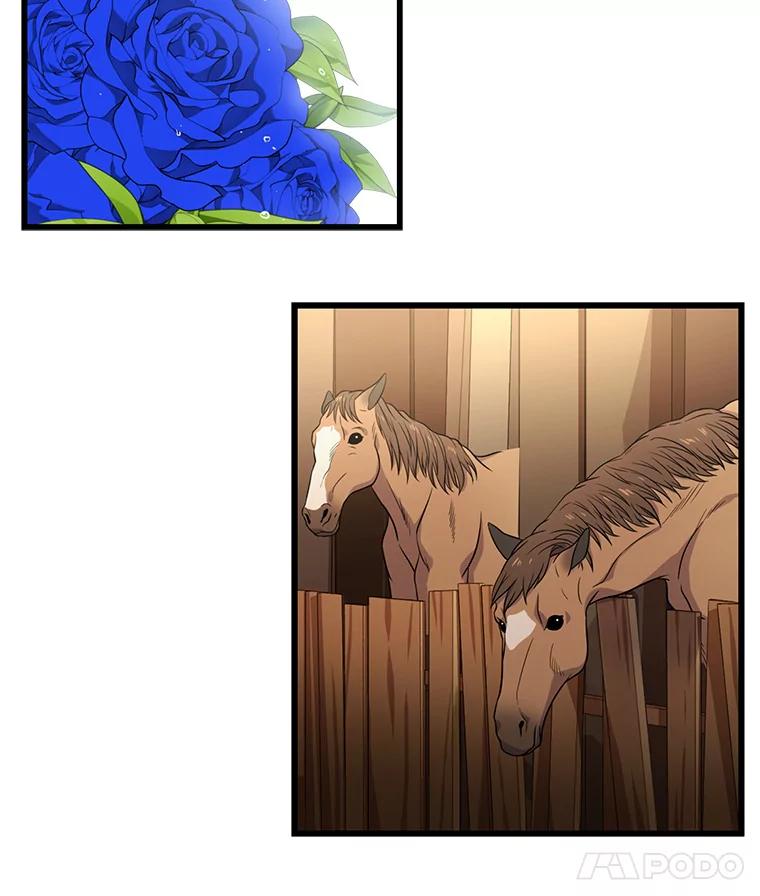 151.jpg