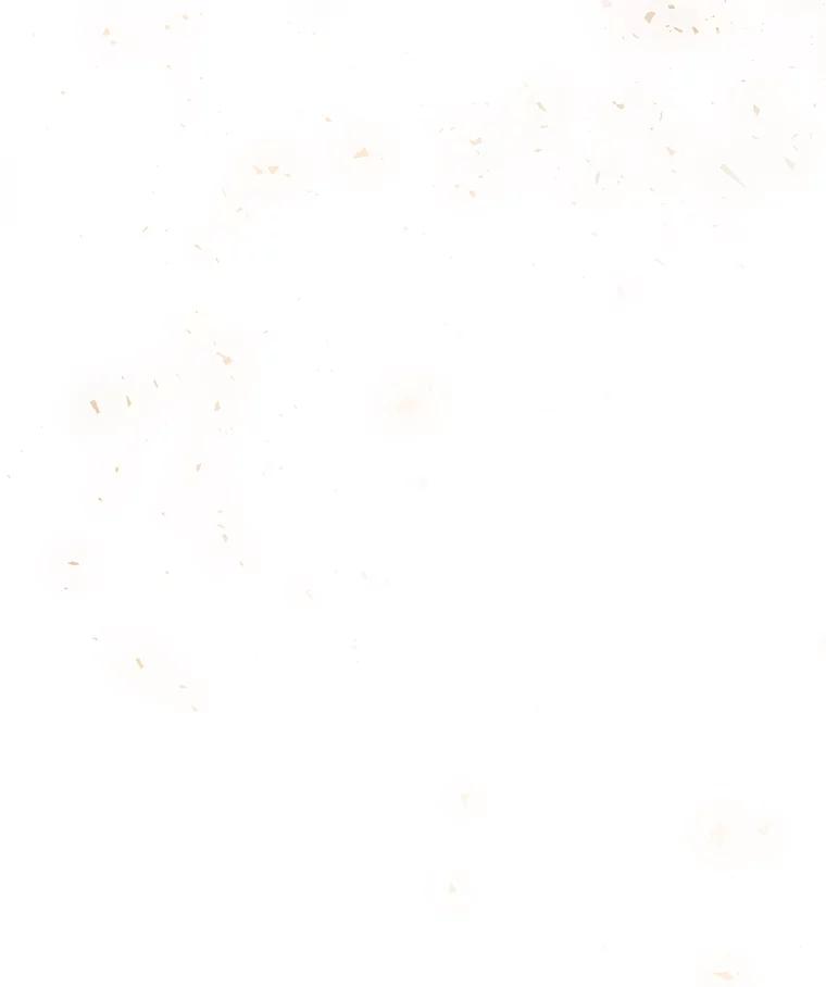82.jpg