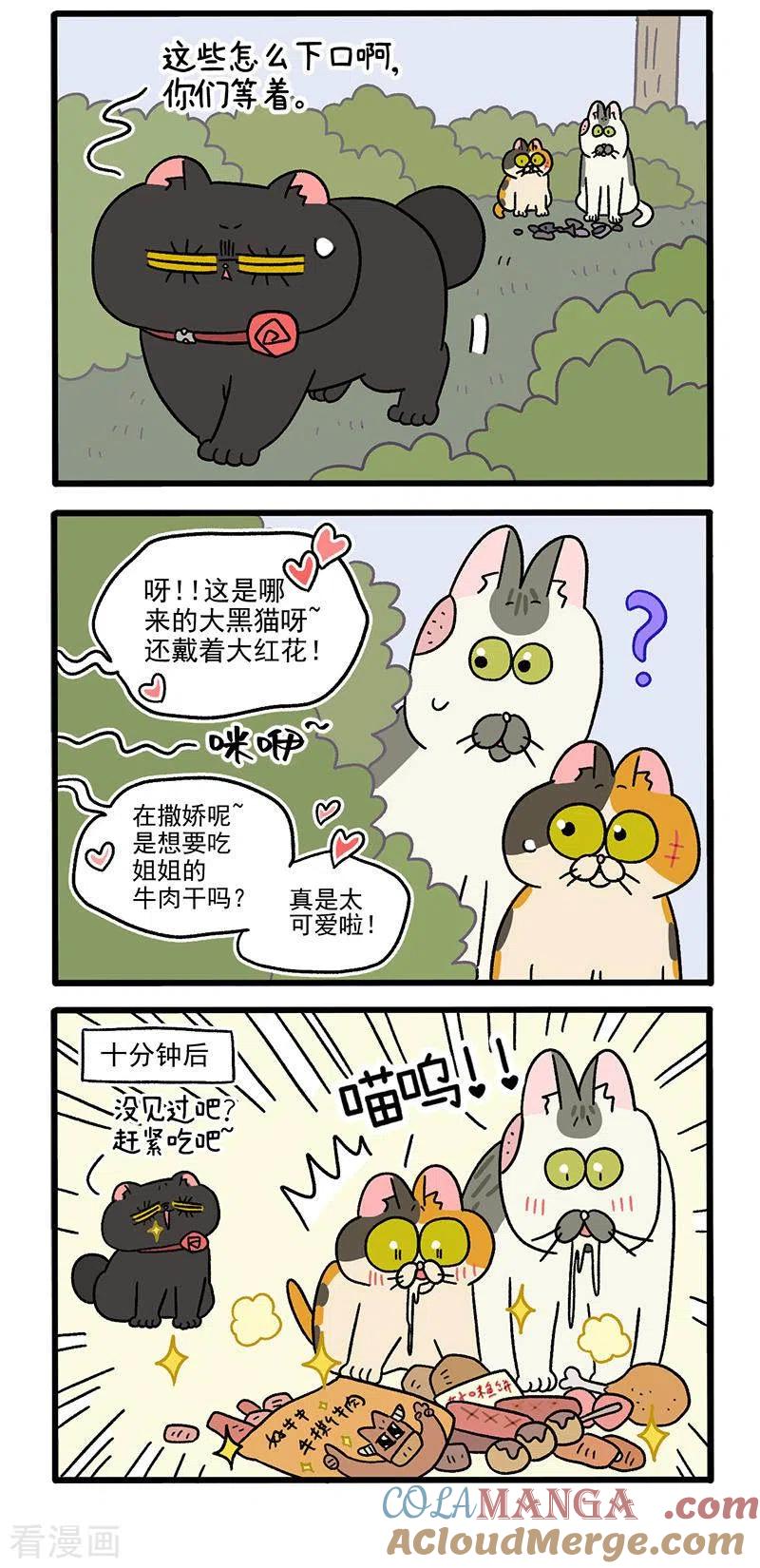 第38话2老大之道-阿满和麦茶-新漫画 日胖大海寺（第3张）