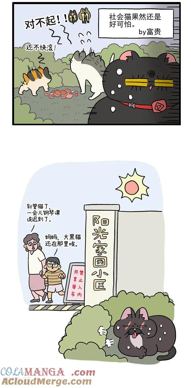 第38话2老大之道-阿满和麦茶-新漫画 日胖大海寺（第5张）
