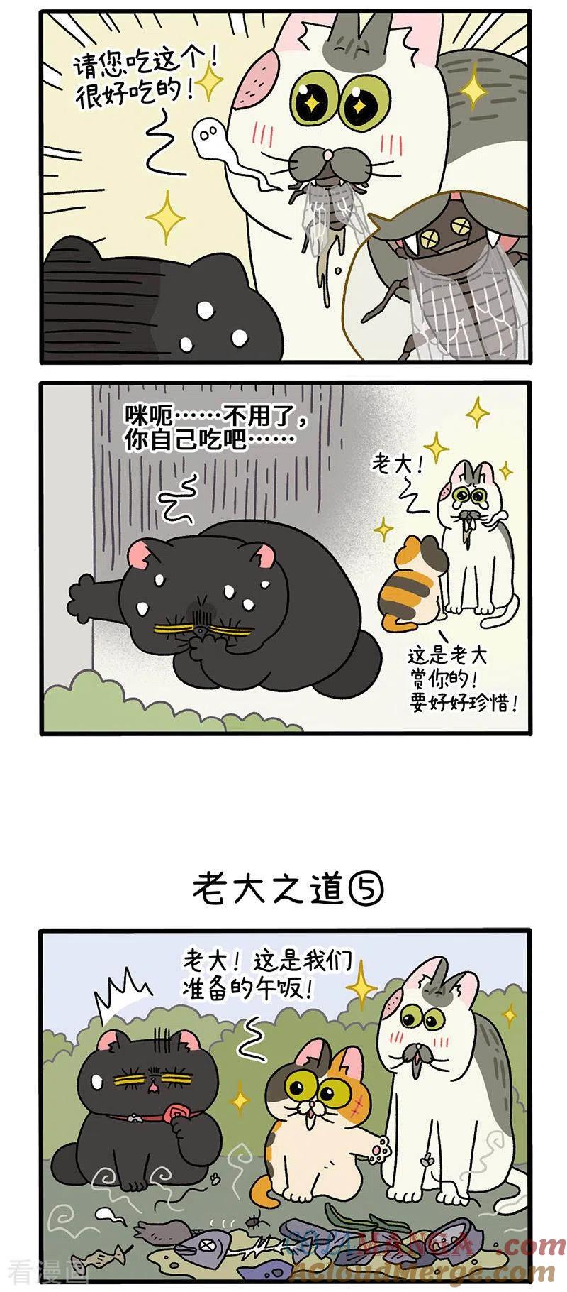 第38话2老大之道-阿满和麦茶-新漫画 日胖大海寺（第2张）