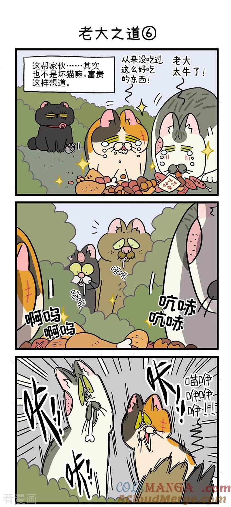 第38话2老大之道-阿满和麦茶-新漫画 日胖大海寺（第4张）