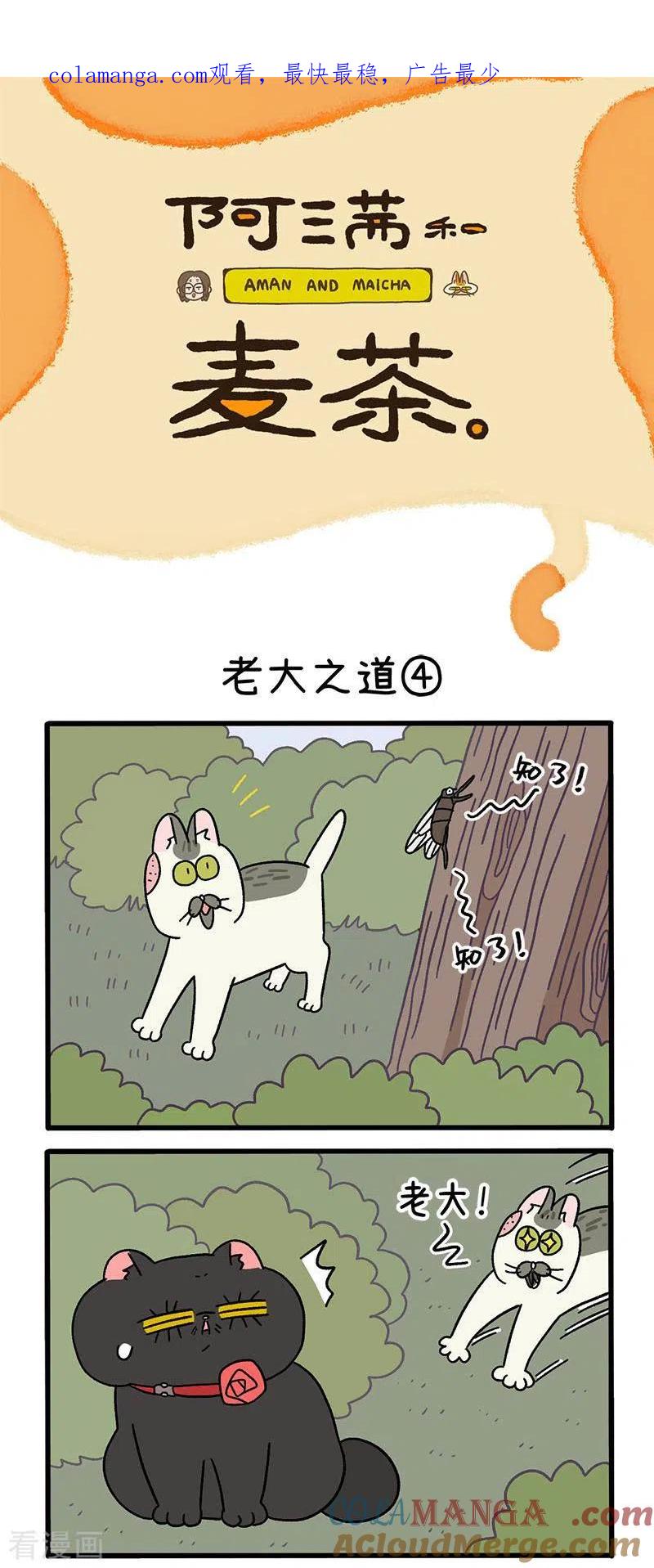 第38话2老大之道-阿满和麦茶-新漫画 日胖大海寺（第1张）