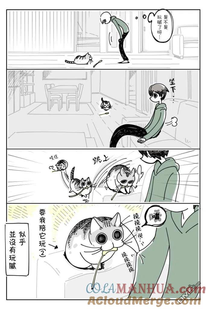 第13话-关于养猫我一直是新手-キュルZ（第3张）