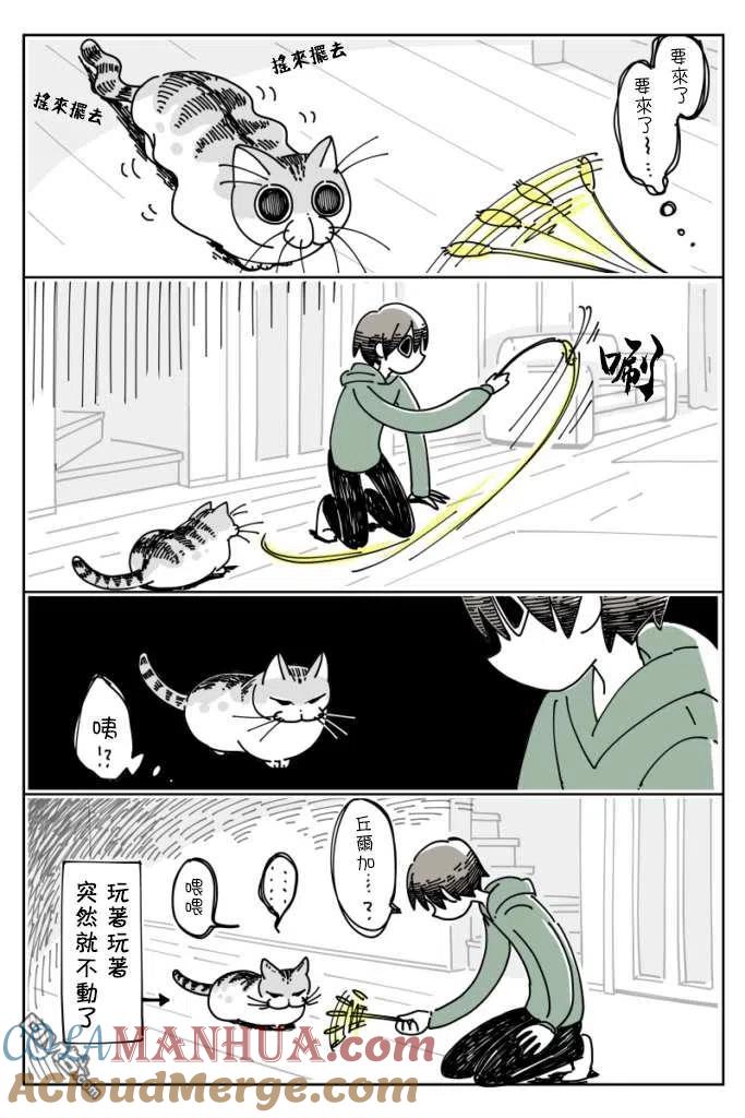 第13话-关于养猫我一直是新手-キュルZ（第2张）
