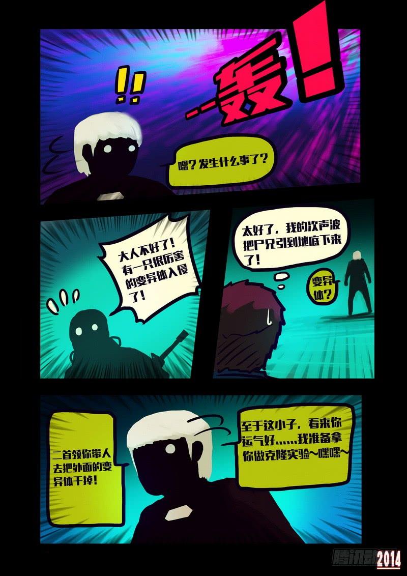 5.jpg