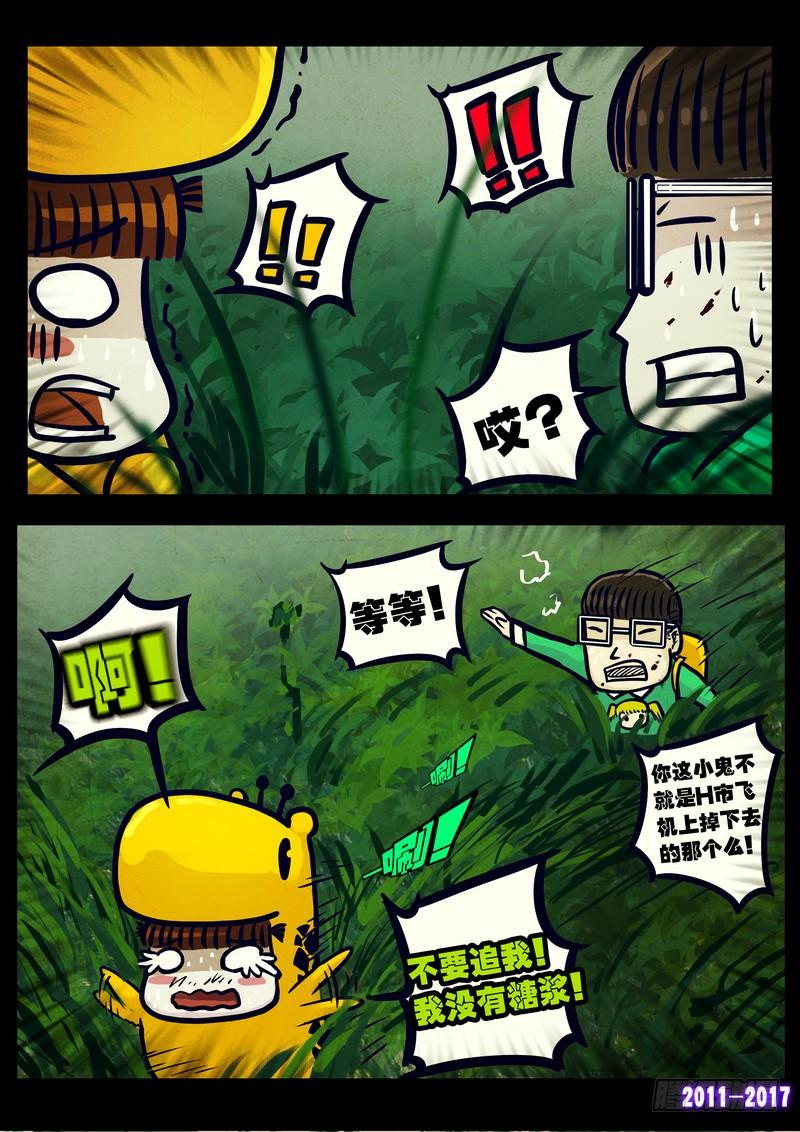 5.jpg