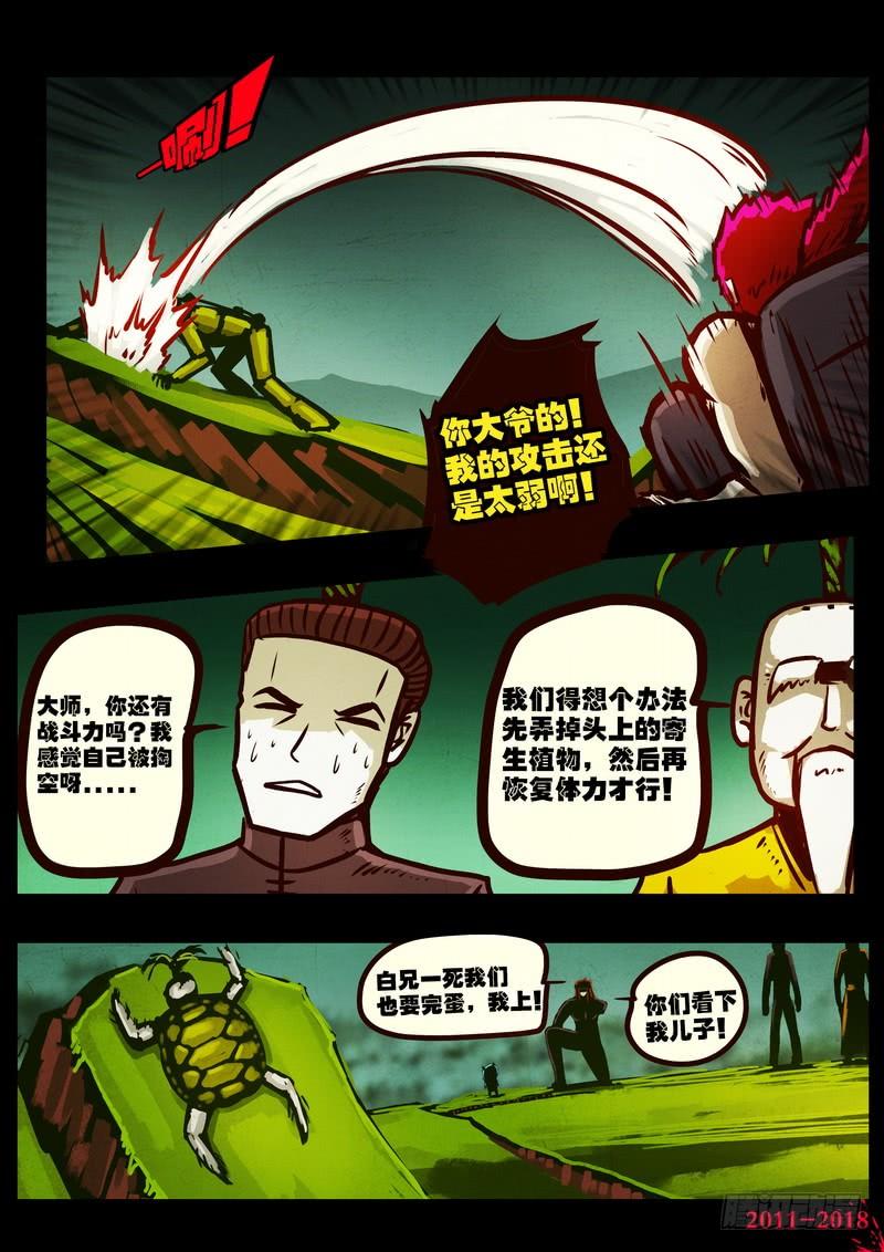 5.jpg