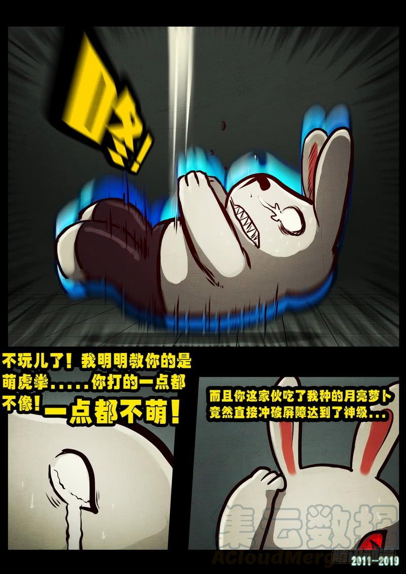 19.jpg