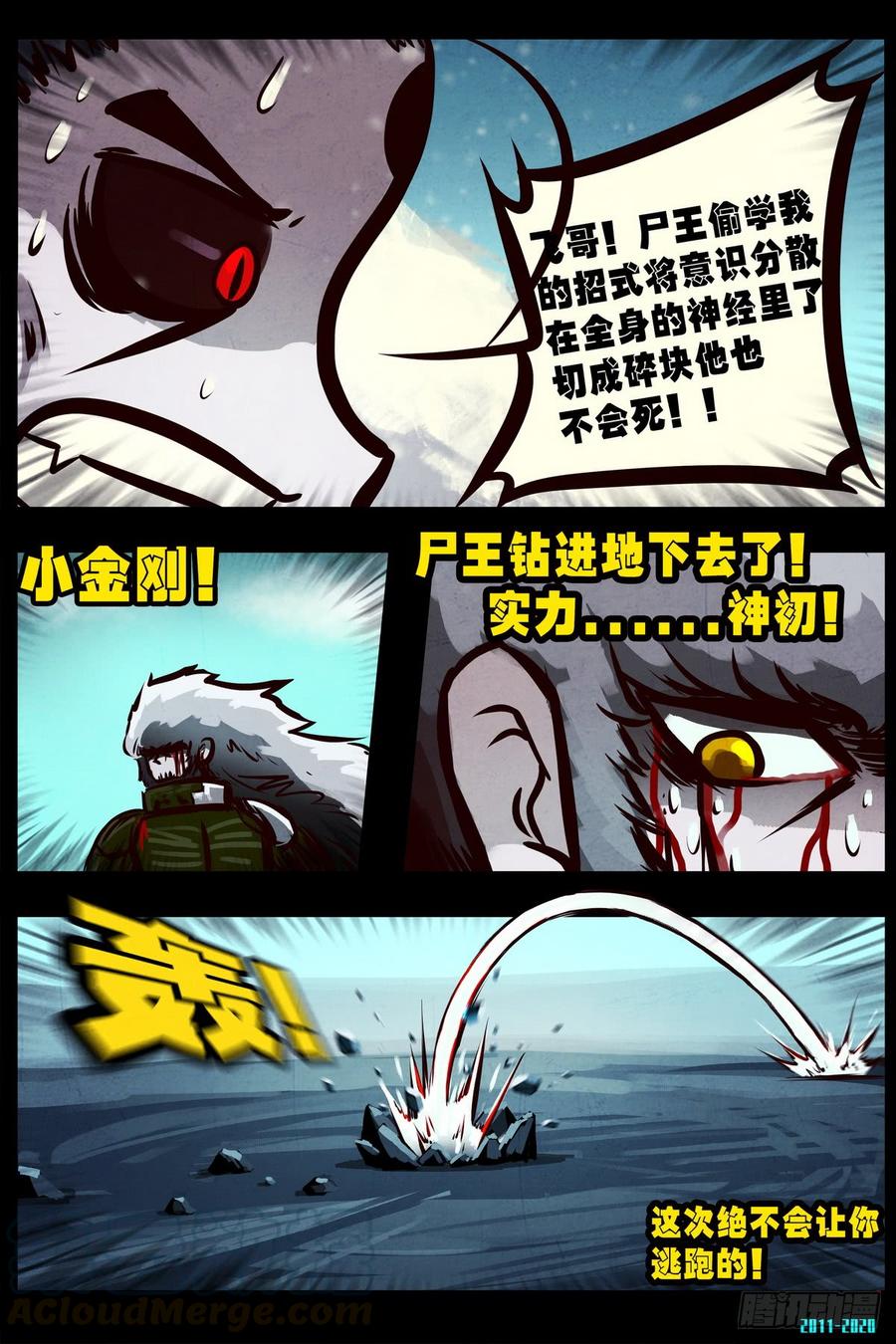 13.jpg