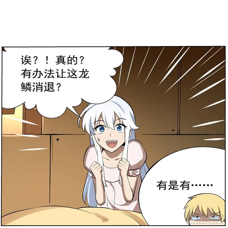 41.jpg