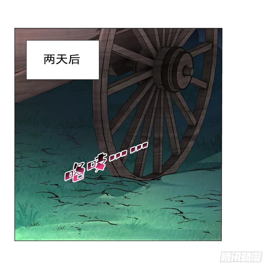 41.jpg