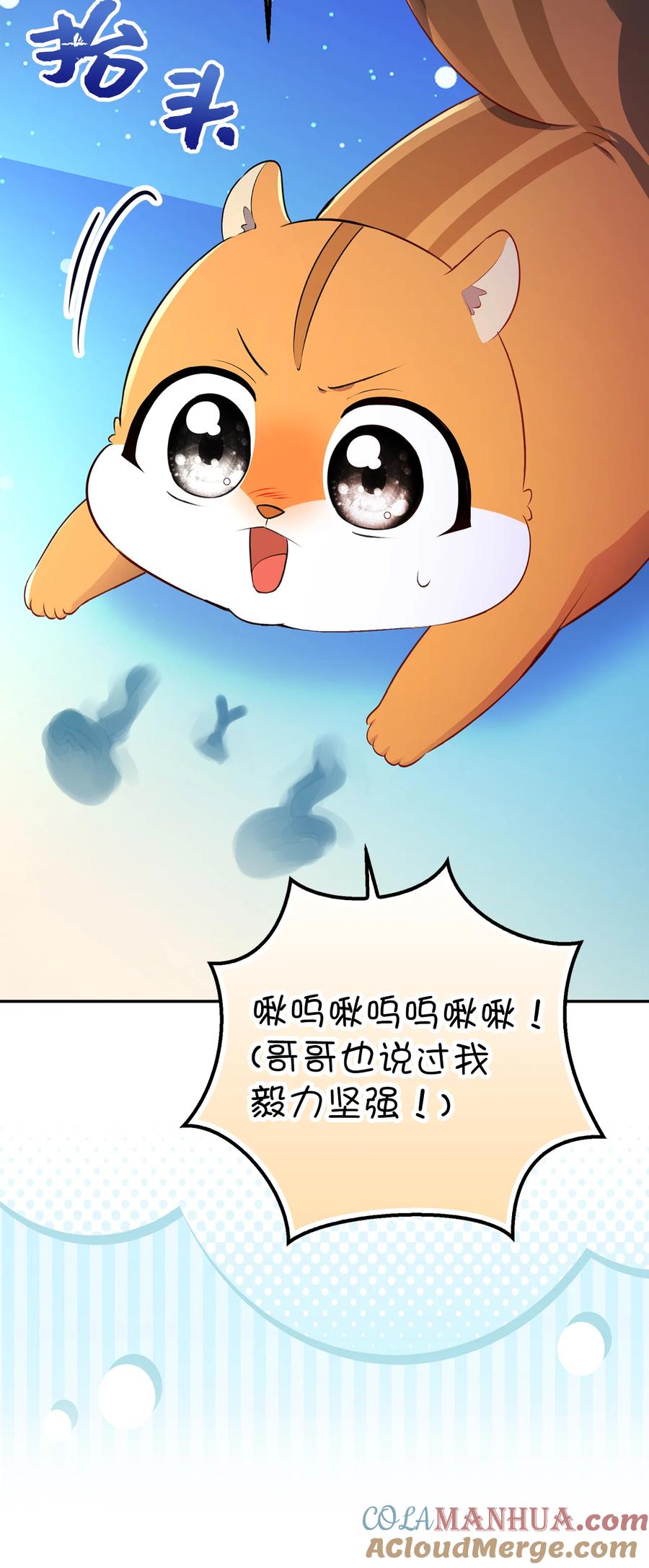 49.jpg