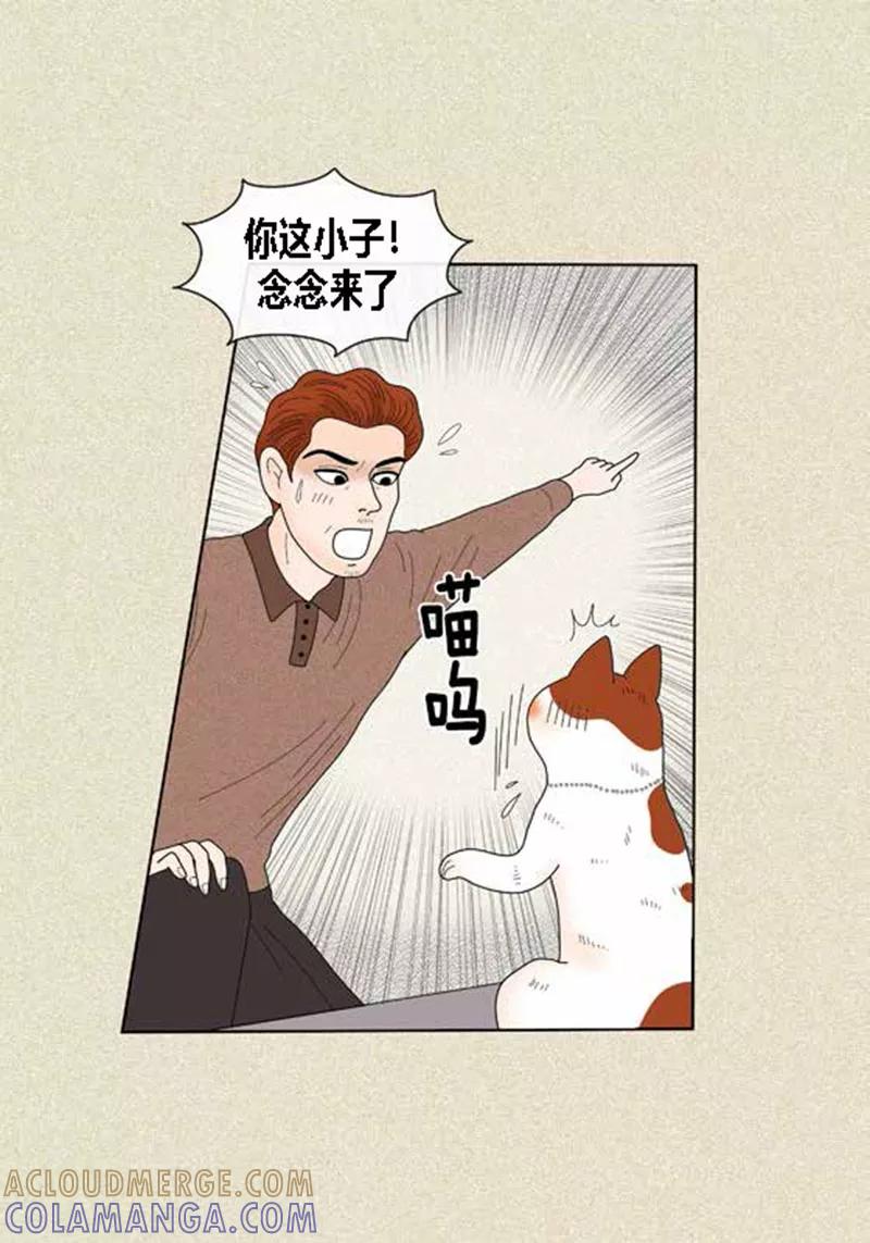 第59话真的痊愈了吗？-猫王子-蓝文文化（第9张）