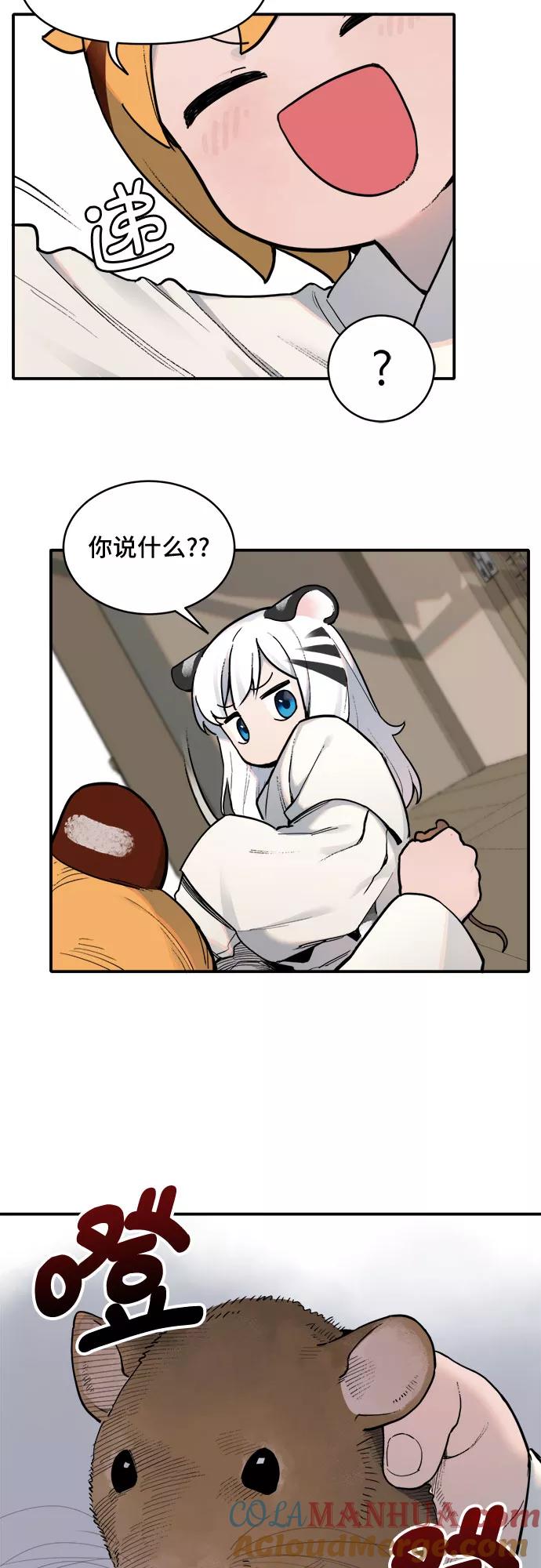 19.jpg