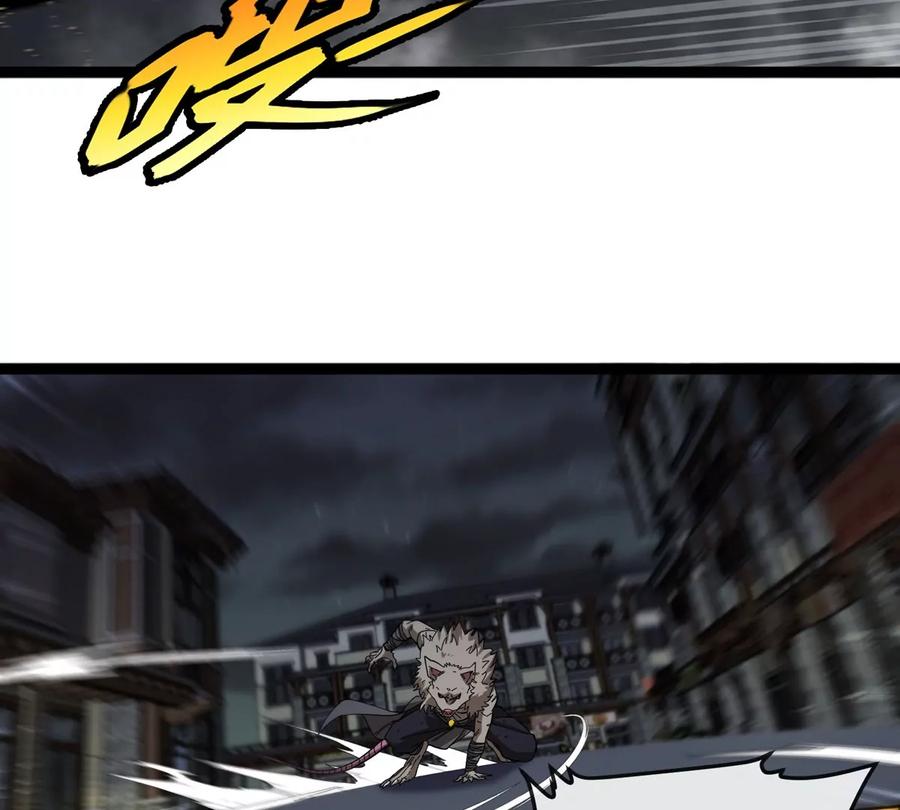 75.jpg