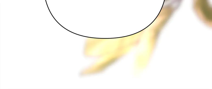 148.jpg