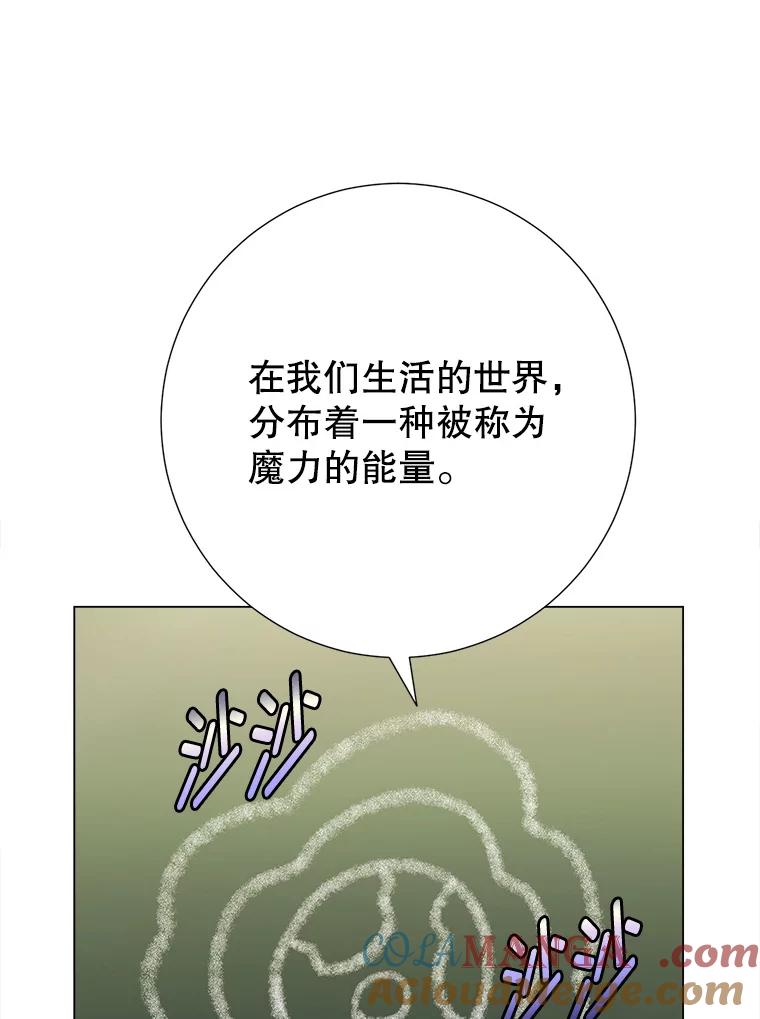 81.jpg
