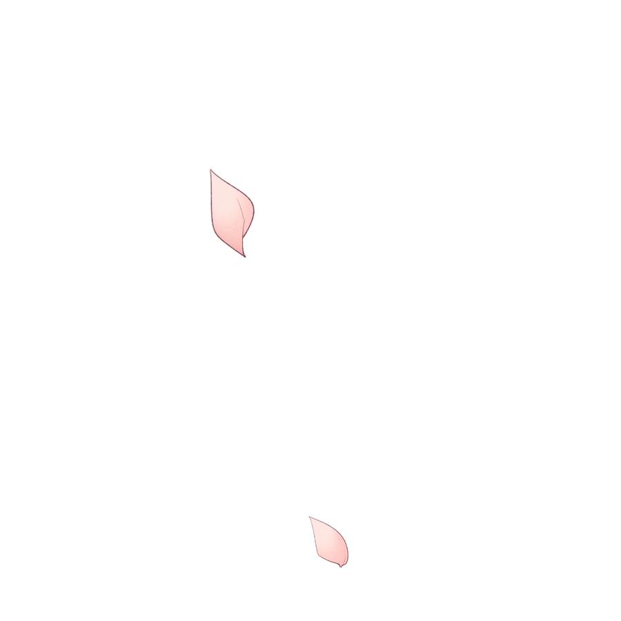 112.jpg