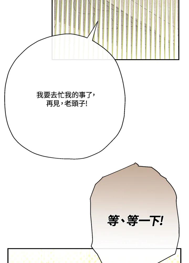 95.jpg