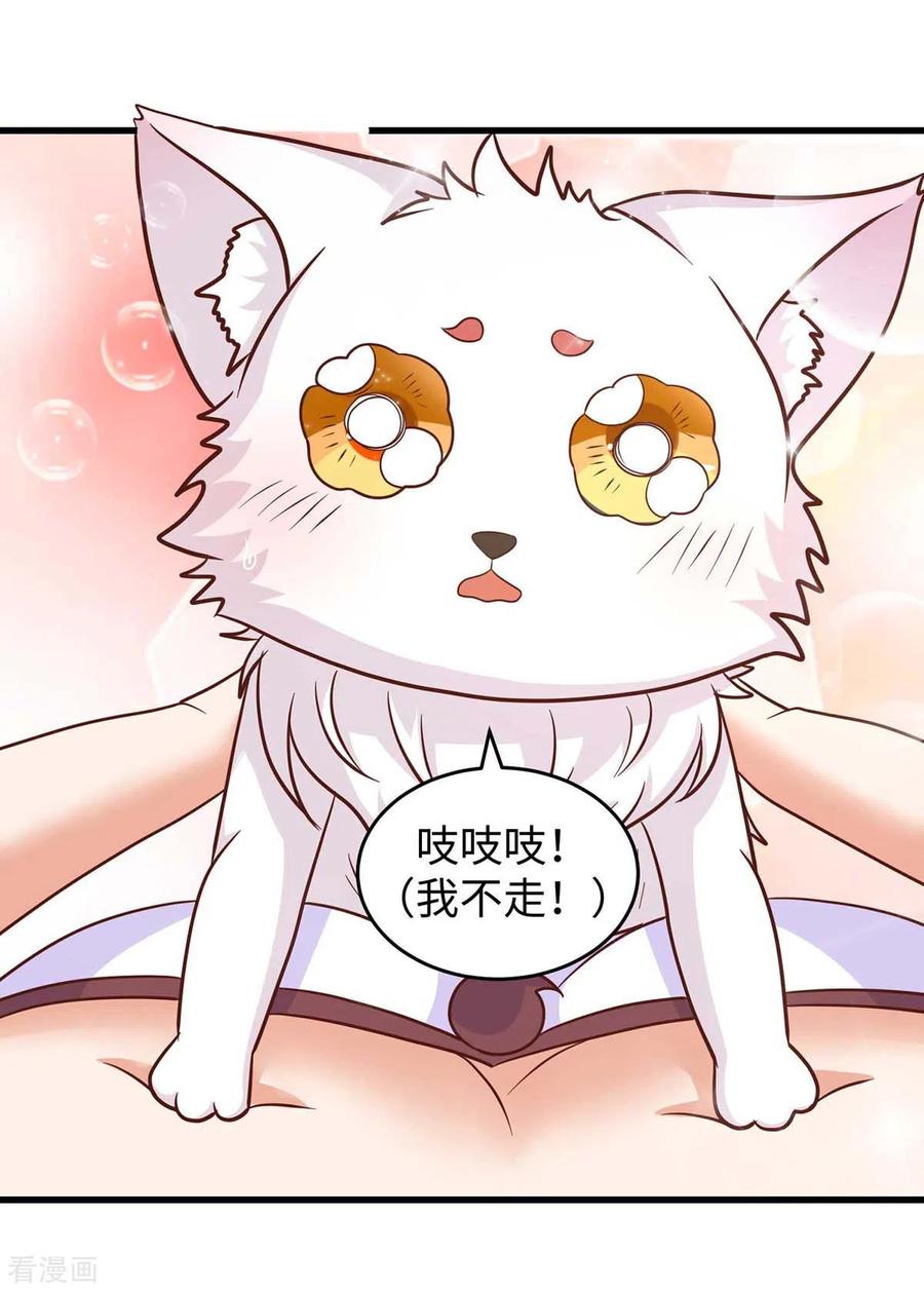 第65话小白-兽世狂妃：不当异界女海王-掌阅文化（第18张）