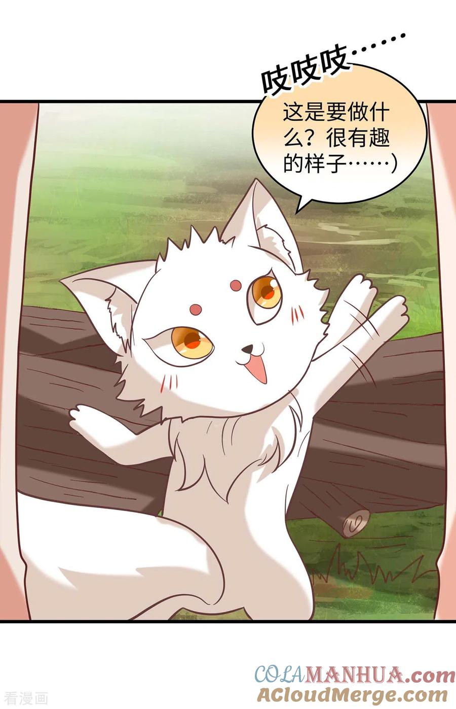 第71话小雨不见了-兽世狂妃：不当异界女海王-掌阅文化（第7张）