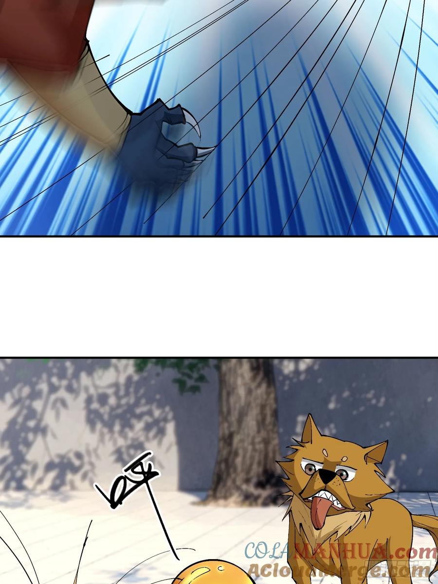 48.jpg