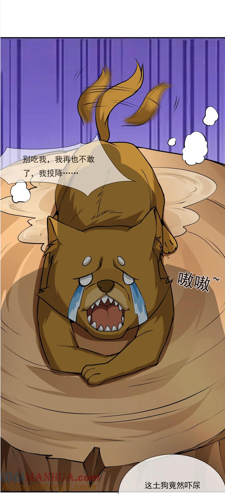 13.jpg