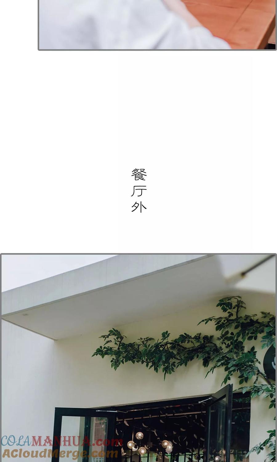 第15话-首席的替嫁新娘-剧能玩（第17张）