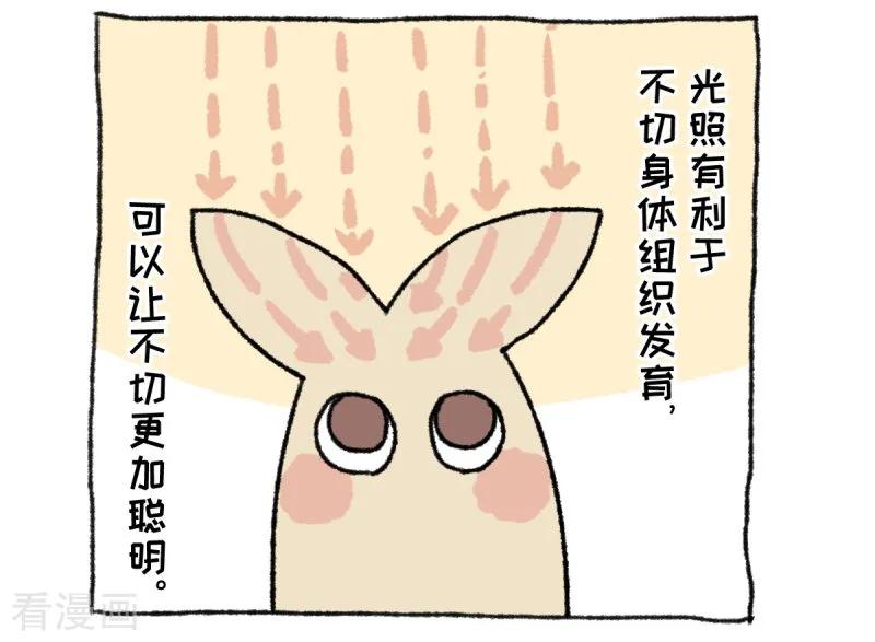 第36话关于不切-不切传说-新漫画（第8张）