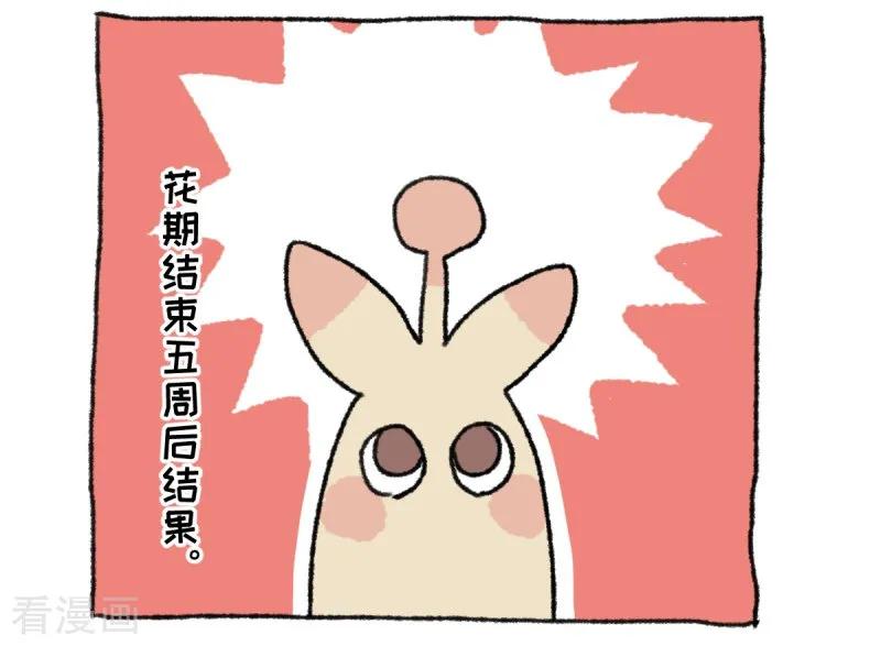 第36话关于不切-不切传说-新漫画（第18张）