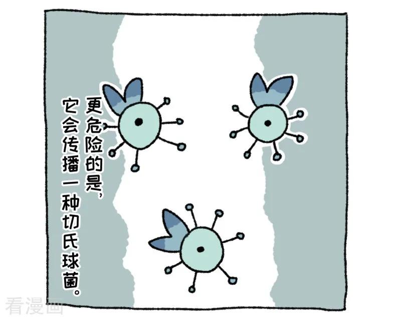 第36话关于不切-不切传说-新漫画（第14张）