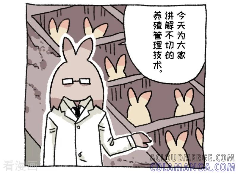 第36话关于不切-不切传说-新漫画（第3张）