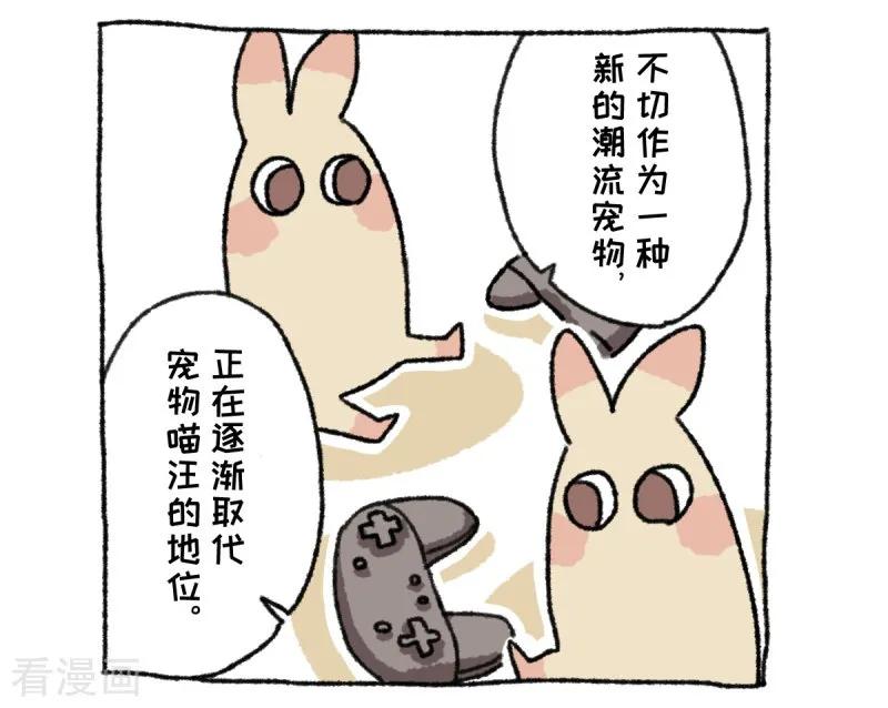 第36话关于不切-不切传说-新漫画（第4张）