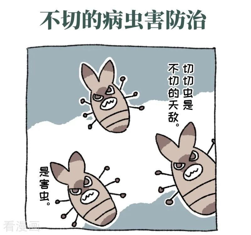 第36话关于不切-不切传说-新漫画（第12张）