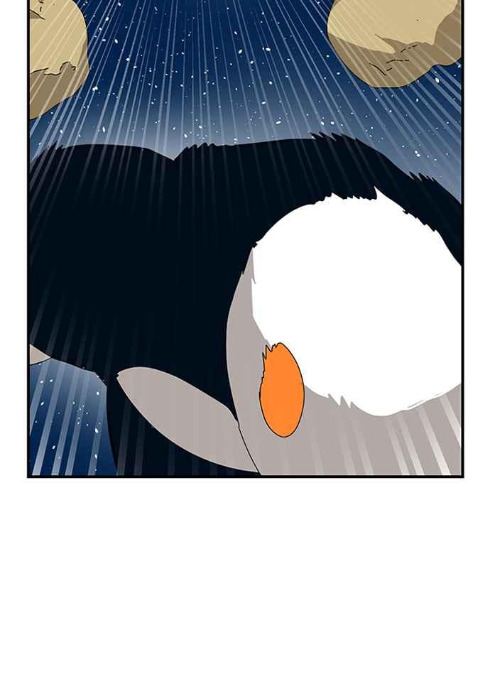 50.jpg
