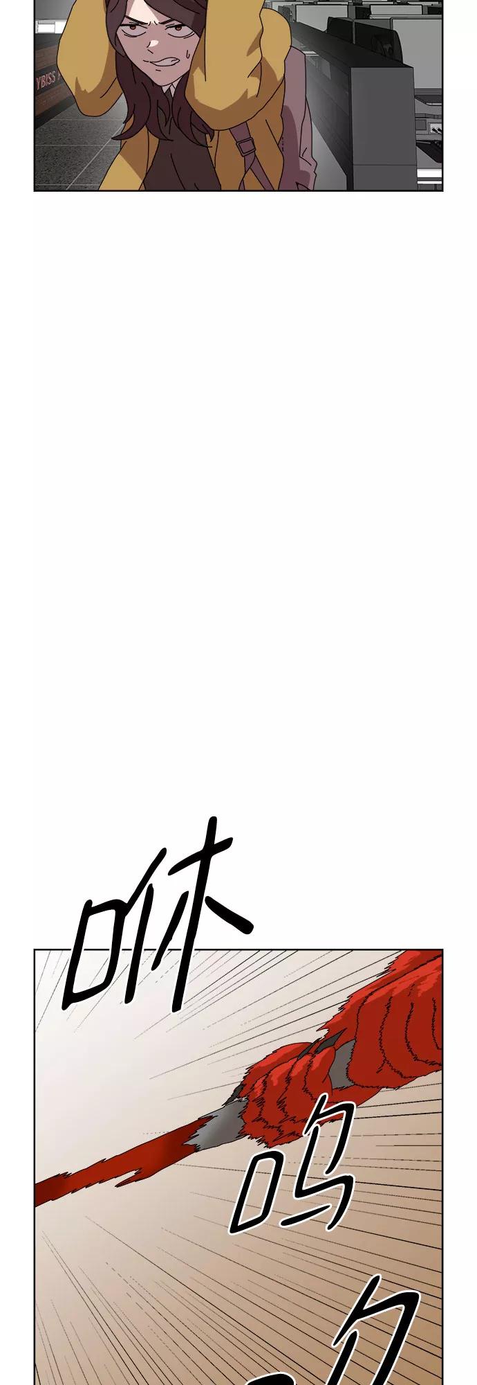 41.jpg