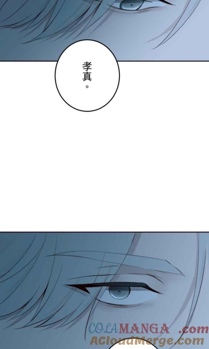 73.jpg