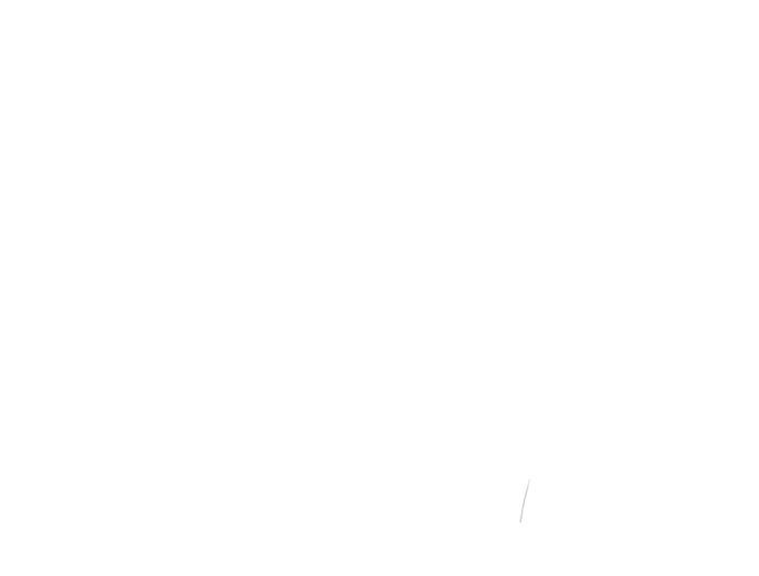152.jpg