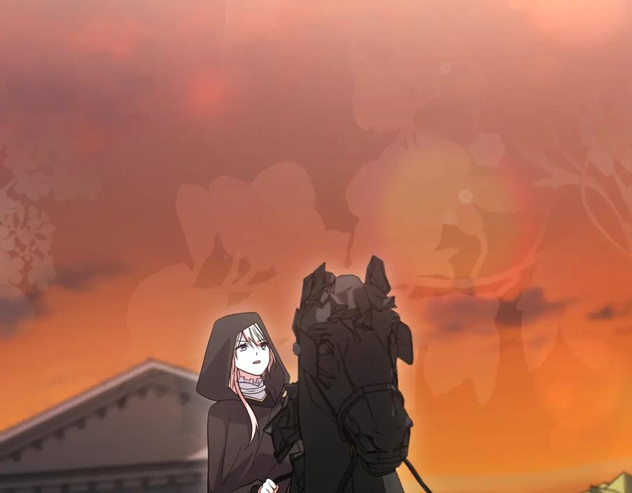 222.jpg