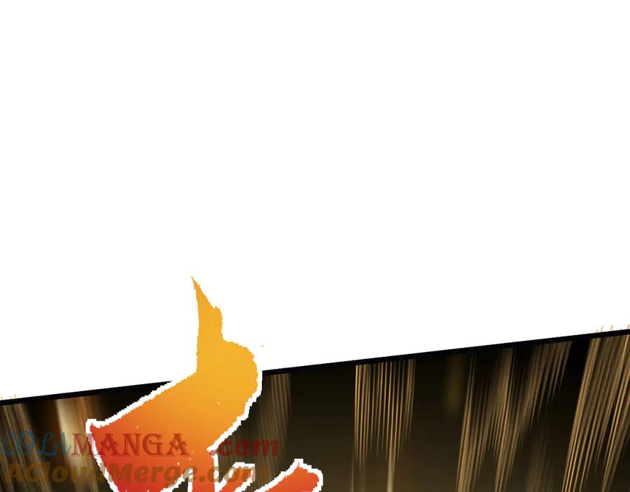 237.jpg
