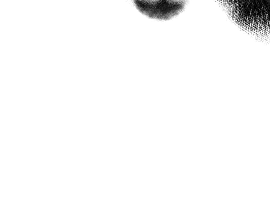 256.jpg