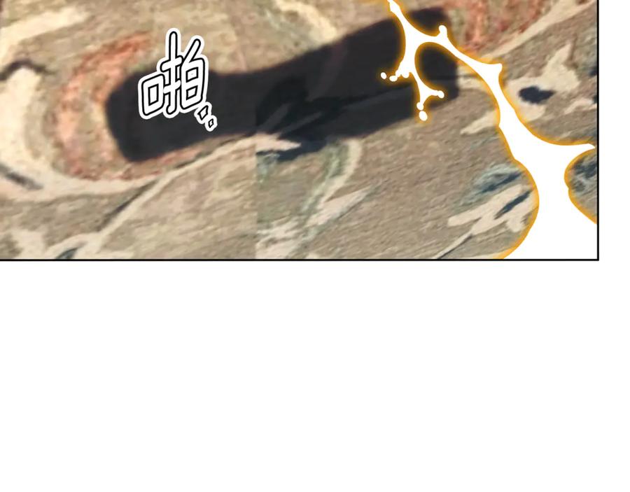81.jpg