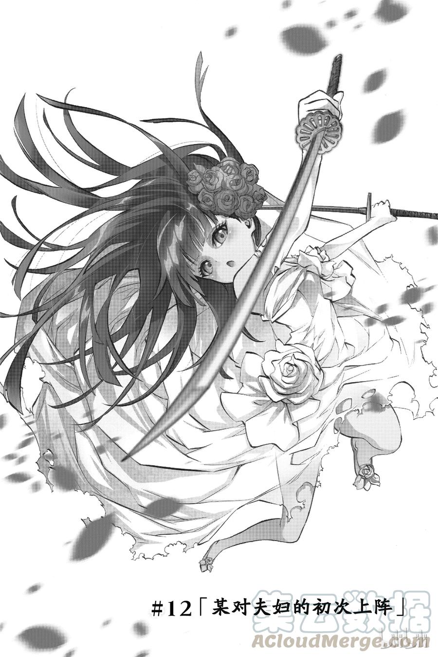 12某对夫妇的初次上阵-双星之阴阳师-助野嘉昭,集英社（第7张）